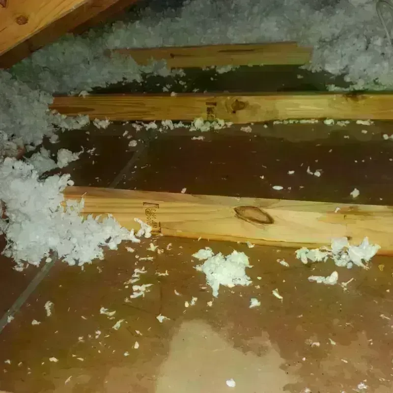 Attic Water Damage in Middletown, CT